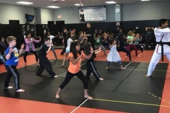 Prazers-ATA-Martial-arts-class